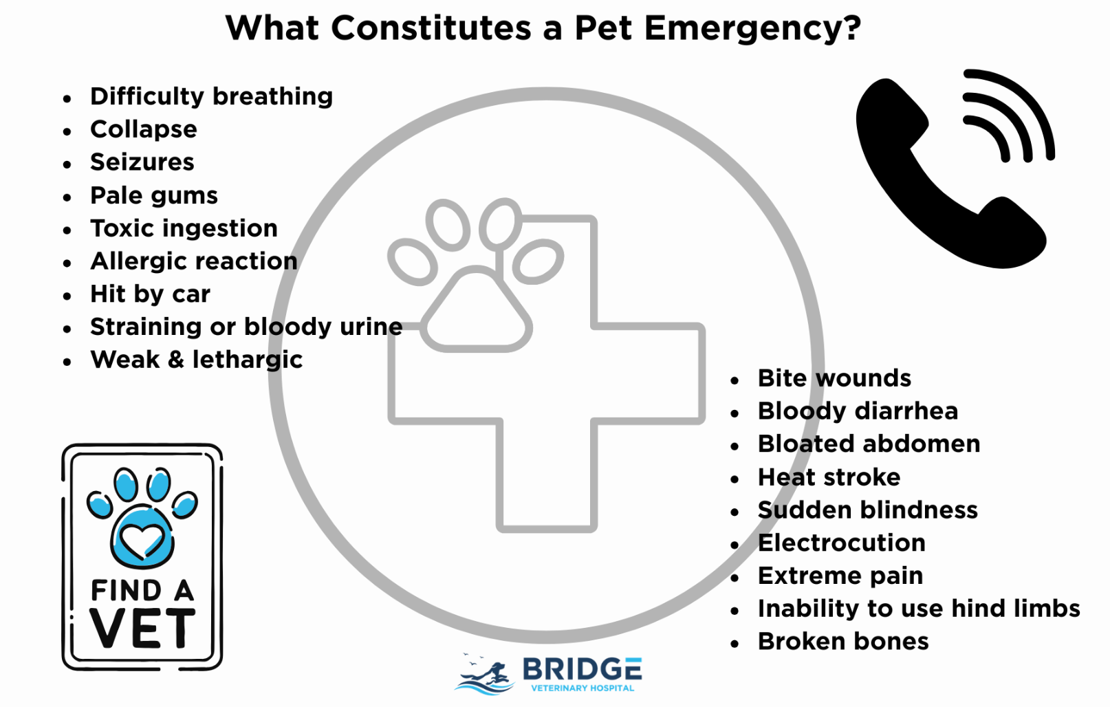 Emergency Vet Care Point Pleasant, NJ