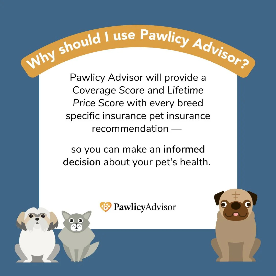 Pet Insurance in Point Pleasant, NJ