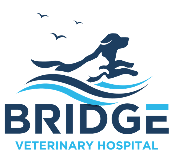 Bridge Veterinary Hospital